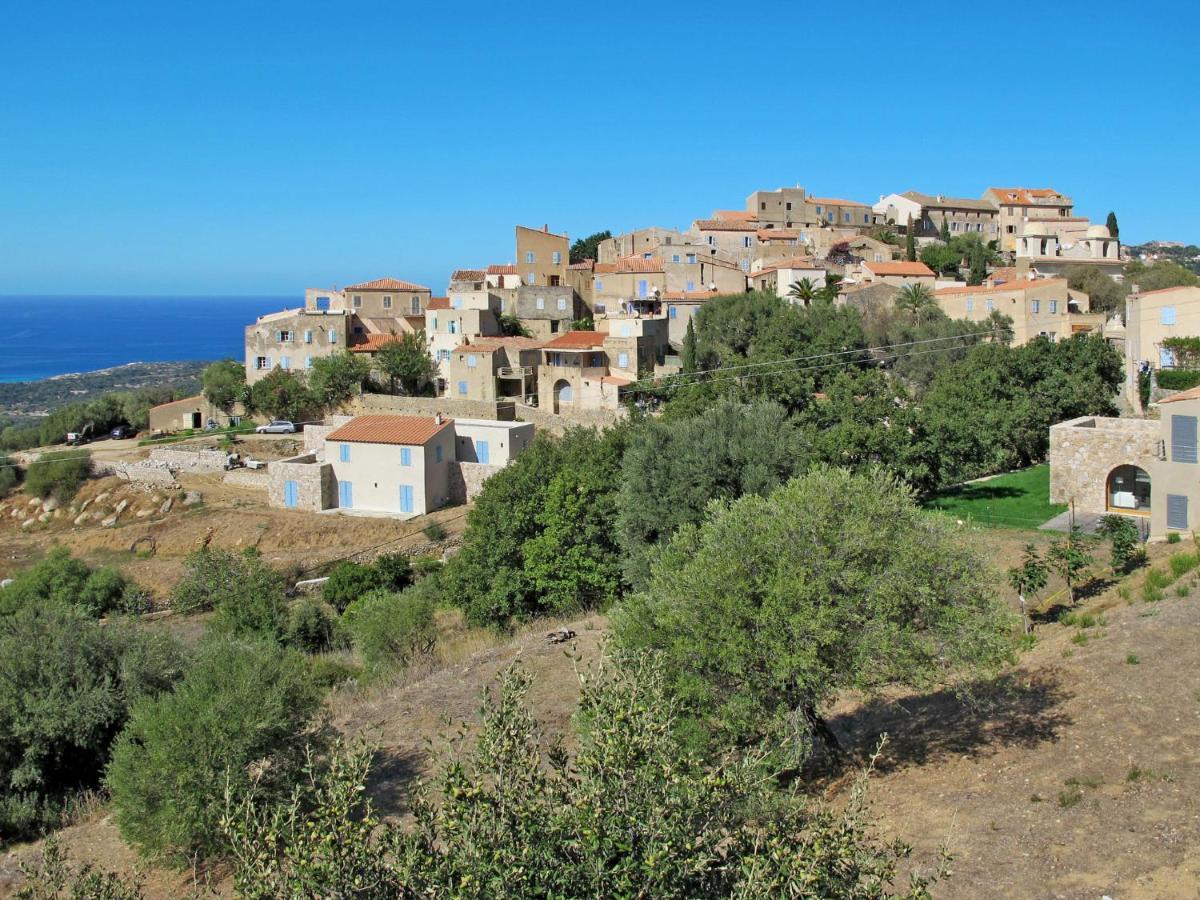 Apartment Résidence de la Plage - IRU151 LʼÎle-Rousse Exterior foto